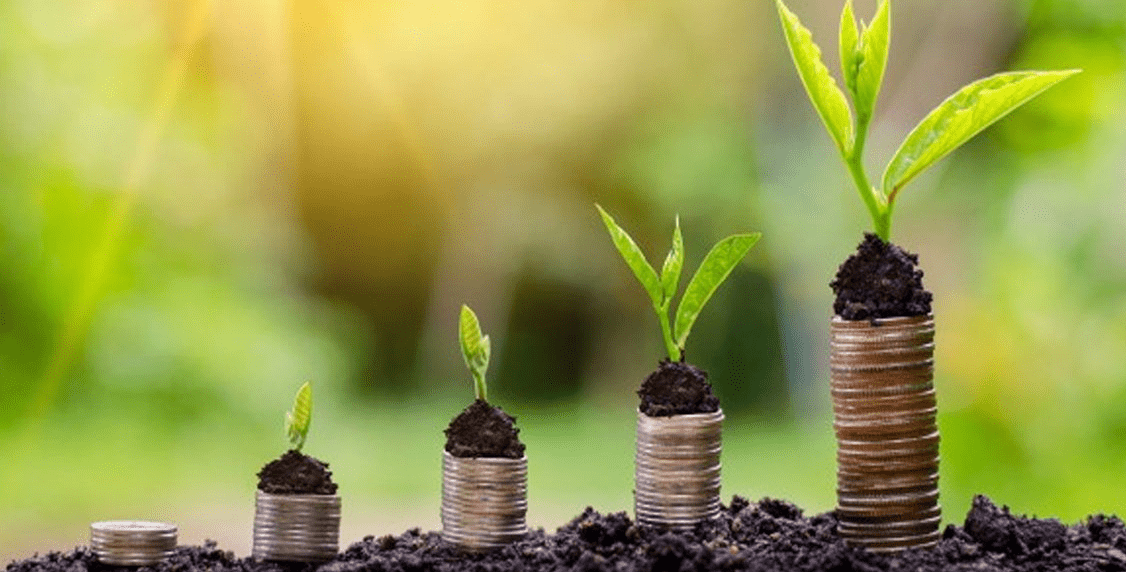 洞察资本风向，定制融资策略(定制融资方案)-第1张图片-战略资本商业服务